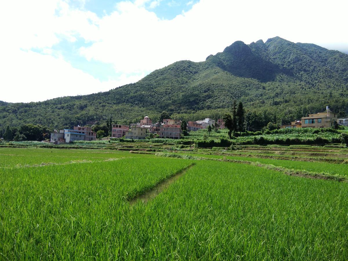 Belinda Backpackers Guesthouse Kreis Yuanyang Exterior foto